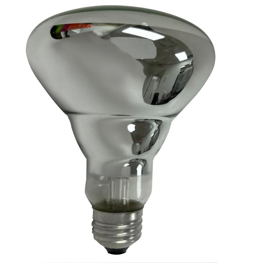 4pack 100W 100 Watt R30 R 30 120V Medium Base Flood Light Bulb Frosted Reflector