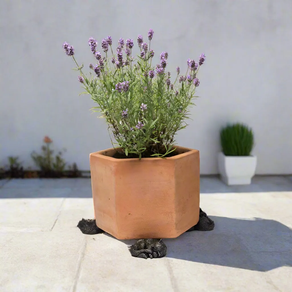 Bronze Colour Sleeping Cat Design Potty Feet