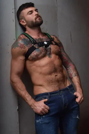 STARLIGHT BULLDOG HARNESS - BLACK