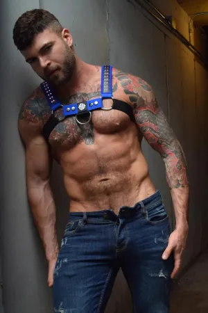 STARLIGHT BULLDOG HARNESS - BLUE