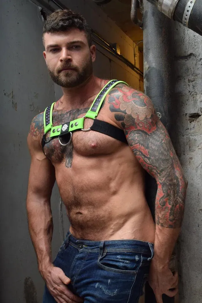 STARLIGHT BULLDOG HARNESS - NEON GREEN