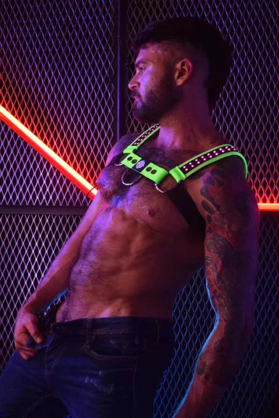 STARLIGHT BULLDOG HARNESS - NEON GREEN