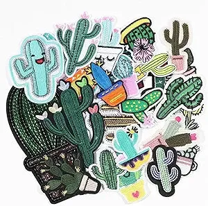 The Catus Bunch Patch